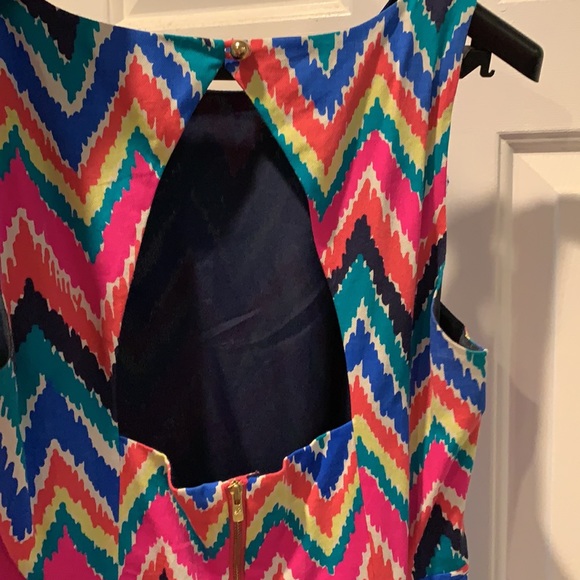 Lilly Pulitzer Dress - Picture 3 of 5